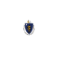 Massachusetts flag