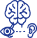Specialized Systems & Sensory Surgery