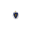 Massachusetts flag